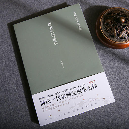 唐五代词选注 龙榆生著作精选集 商品图2