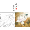 【大彩图】李晓明工笔画白描底稿斗方小品《紫荷白鹡鸰》荷花临摹勾线花鸟线稿K094 商品缩略图0