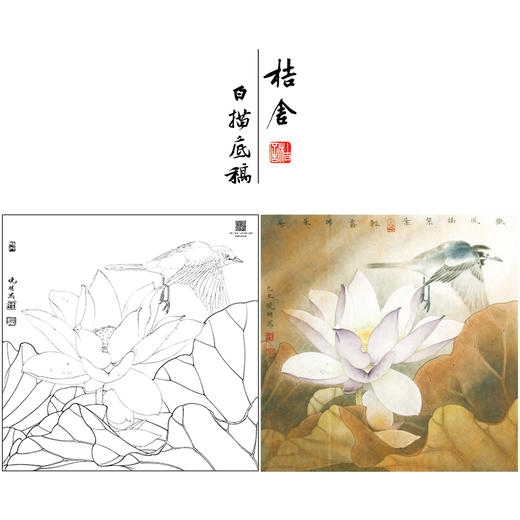 【大彩图】李晓明工笔画白描底稿斗方小品《紫荷白鹡鸰》荷花临摹勾线花鸟线稿K094 商品图0