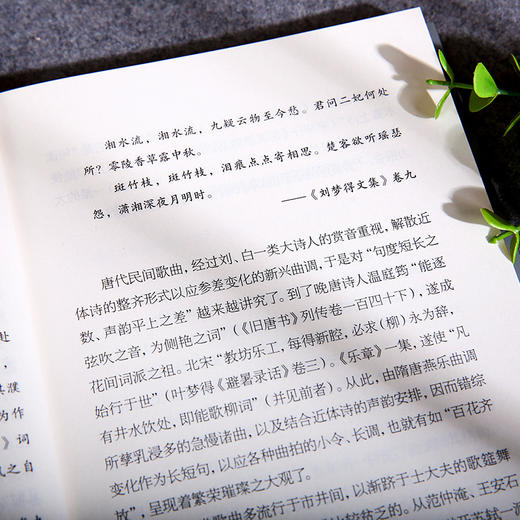 词学十讲 龙榆生著作精选集 商品图4