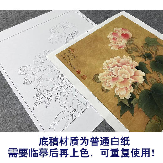 【大彩图】李晓明工笔画白描底稿斗方小品《红芙蓉花》临摹勾线花鸟线稿K111 商品图3