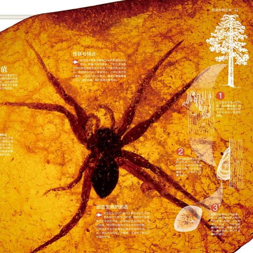 《国家地理图解万物大百科》（全18册） 商品图13