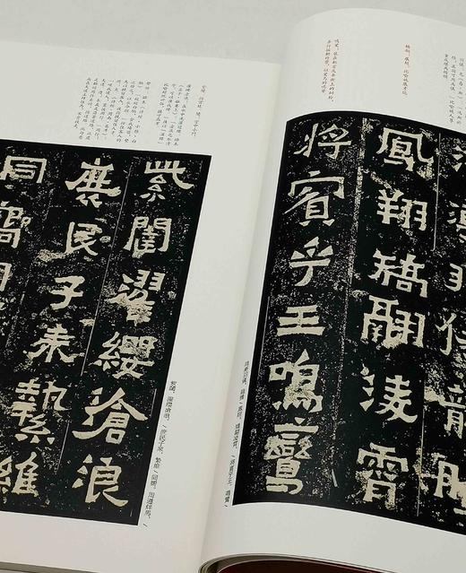 中国碑帖名品：《南北朝石刻书法名品十种》，一函六册

《爨宝子碑》（清后期精拓本）

《爨龙颜碑》（清后期精拓本）

《瘗鹤铭》（清后期精拓本）

《嵩高灵庙碑》（清初拓本）

《始平公造像记》 商品图6