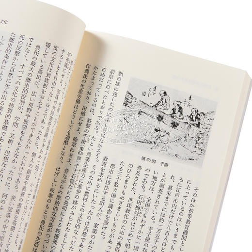 【中商原版】日本文化史 日文原版 日本文化史 岩波新書 黄版187 家永三郎 商品图3