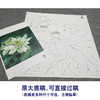 【大彩图】李晓明工笔画白描底稿斗方小品《凝碧》荷花临摹勾线花鸟线稿K091 商品缩略图1