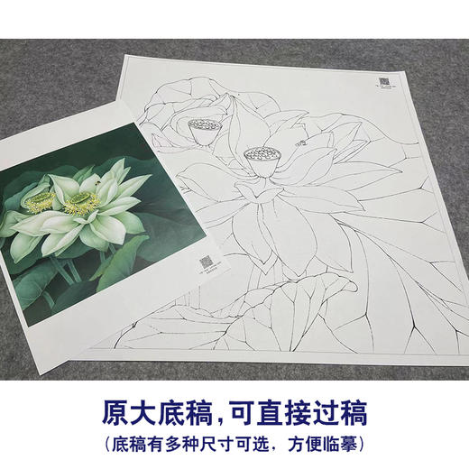 【大彩图】李晓明工笔画白描底稿斗方小品《凝碧》荷花临摹勾线花鸟线稿K091 商品图1