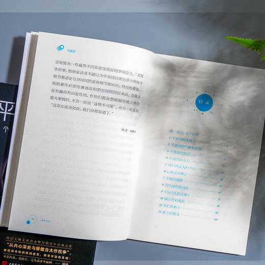 平面国 商品图4