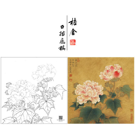 【大彩图】李晓明工笔画白描底稿斗方小品《红芙蓉花》临摹勾线花鸟线稿K111 商品图0
