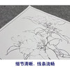 【大彩图】李晓明工笔画白描底稿小品《白茉莉》临摹勾线花鸟线稿K103 商品缩略图4