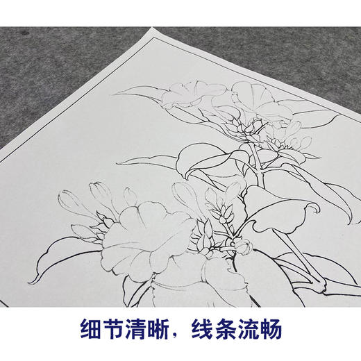 【大彩图】李晓明工笔画白描底稿小品《白茉莉》临摹勾线花鸟线稿K103 商品图4