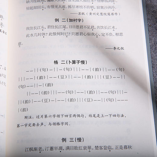 唐宋词格律 龙榆生著作精选集 商品图4