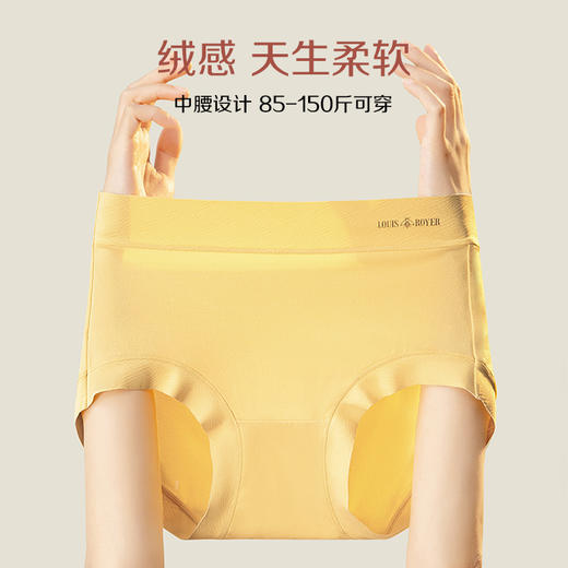 【已下架】LOUIS ROYER/利蜂 绒感磨毛恒温秋冬女士内裤五条装N23LF1692[福利品] 商品图2