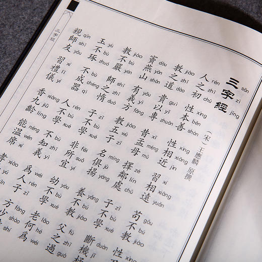 三字经 百家姓 千字文 德育启蒙 孝经 论语注疏 中华经典诵读教材儿童国学经典启蒙读物少儿成长必读6-7-8-10-12岁小学生课外书 商品图4