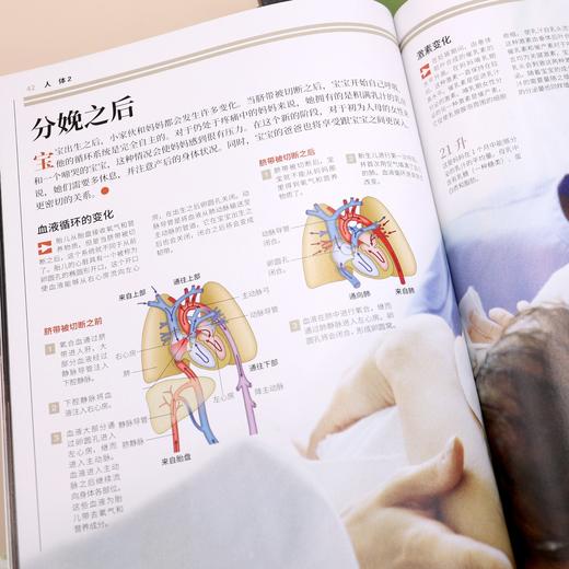 《国家地理图解万物大百科》（全18册） 商品图10