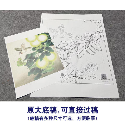 【大彩图】李晓明工笔画白描底稿小品《合欢山雀图》临摹勾线花鸟线稿K105 商品图1