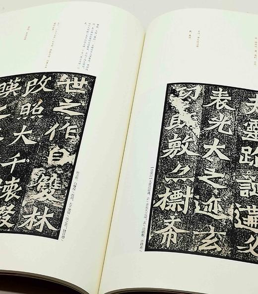 中国碑帖名品：《南北朝石刻书法名品十种》，一函六册

《爨宝子碑》（清后期精拓本）

《爨龙颜碑》（清后期精拓本）

《瘗鹤铭》（清后期精拓本）

《嵩高灵庙碑》（清初拓本）

《始平公造像记》 商品图12