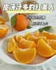 【正宗象山红美人🍊】柑橘中的天花板！ 皮薄肉厚，⁡果肉Q弹、⁡晶莹如果冻般口感😋✅甜滋滋，一口爆汁💦，无籽无渣✅每一颗都有90%的出汁率🍹轻轻松松掐出一杯果汁喝🤩 商品缩略图2