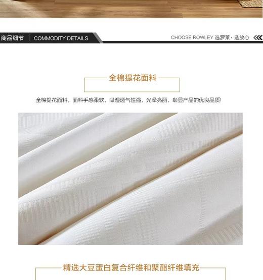 【Luolai罗莱厅】B7F罗莱 大豆亲肤春秋被新一代 商品图4