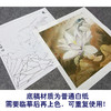 【大彩图】李晓明工笔画白描底稿斗方小品《紫荷白鹡鸰》荷花临摹勾线花鸟线稿K094 商品缩略图3