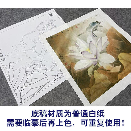 【大彩图】李晓明工笔画白描底稿斗方小品《紫荷白鹡鸰》荷花临摹勾线花鸟线稿K094 商品图3