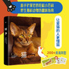 猫 朱莉安娜·普洛斯 著 科普读物 商品缩略图1