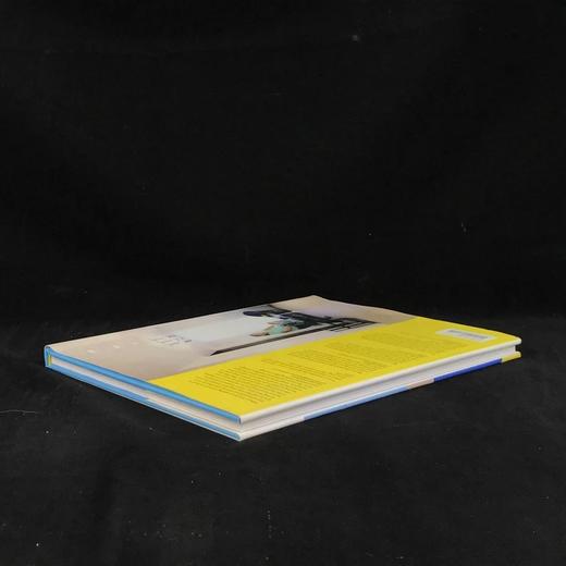 家庭场景：拉米罗·戈麦斯的艺术图集 125幅插图 精装大16开 商品图2