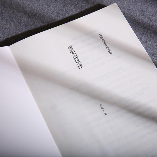 唐宋词格律 龙榆生著作精选集 商品图2