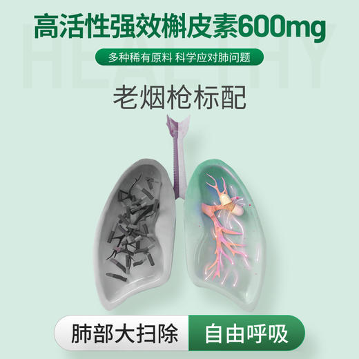 【通用】NaturElan吶兔 槲皮素肺动力胶囊  60粒 商品图2