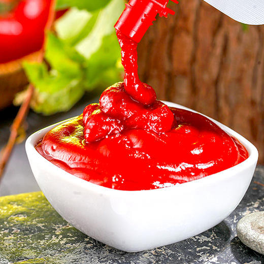 薯条意面好伴侣 | 新康有机番茄沙司/番茄酱 配料干净 新疆番茄 开袋即食 100g*2袋/*8袋 商品图4