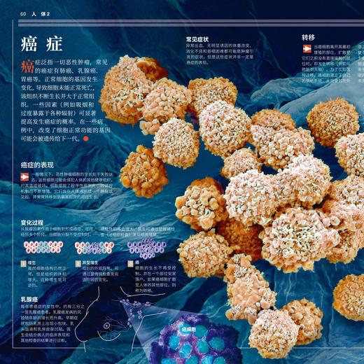 《国家地理图解万物大百科》（全18册） 商品图12