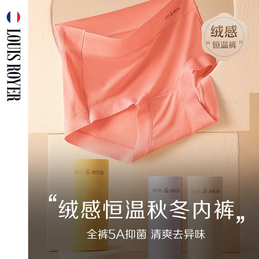 【已下架】LOUIS ROYER/利蜂 绒感磨毛恒温秋冬女士内裤五条装N23LF1692[福利品] 商品图0