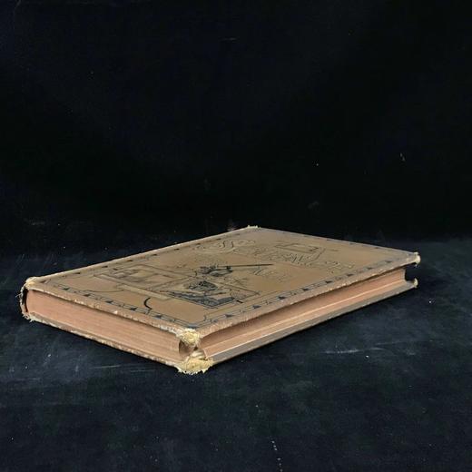 约19世纪后期 万物科学（卷3） 约百幅插图 漆布精装16开 商品图1