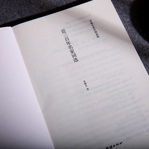 近三百年名家词选 龙榆生著作精选集 商品图2