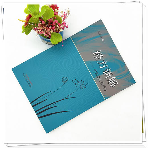 经方新解中医之外看经方 宋永刚 著 中国中医药出版社 中医临床 书籍 商品图1