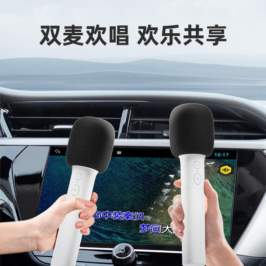TS6/TS7专享｜无线车载麦克风「双支装」 商品图1