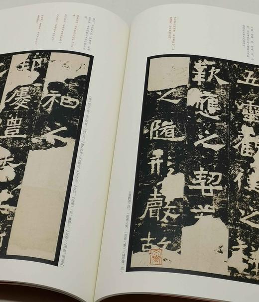 中国碑帖名品：《南北朝石刻书法名品十种》，一函六册

《爨宝子碑》（清后期精拓本）

《爨龙颜碑》（清后期精拓本）

《瘗鹤铭》（清后期精拓本）

《嵩高灵庙碑》（清初拓本）

《始平公造像记》 商品图11