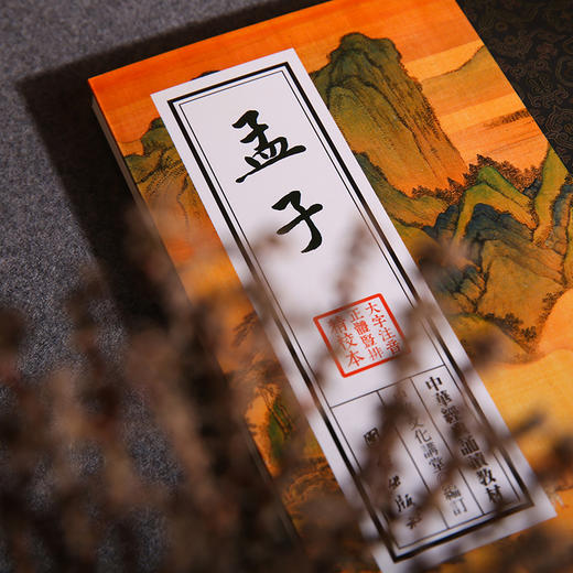 孟子 中华经典诵读教材论语孟子庄子老子大学中庸四书五经孔孟名篇儒家经典中国哲学书籍中华经典解读少年儿童经典诵读教材正版 商品图2