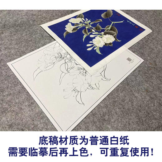 【大彩图】李晓明工笔画白描底稿小品《白茉莉》临摹勾线花鸟线稿K103 商品图3