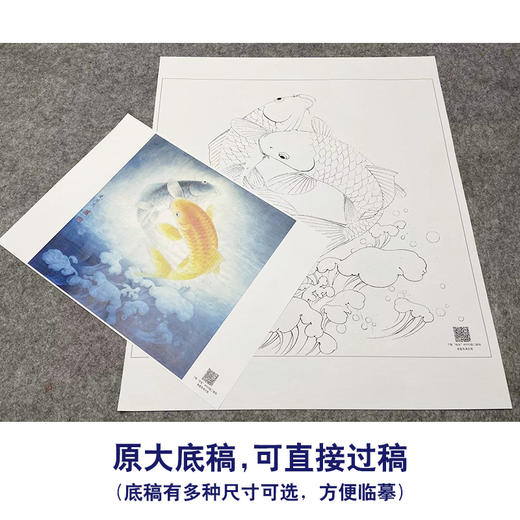 【大彩图】李晓明工笔画白描底稿斗方小品《鲤鱼》临摹勾线花鸟底稿K107 商品图1