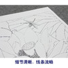 【大彩图】李晓明工笔画白描底稿小品《荷花蜻蜓》临摹勾线花鸟线稿K085 商品缩略图4