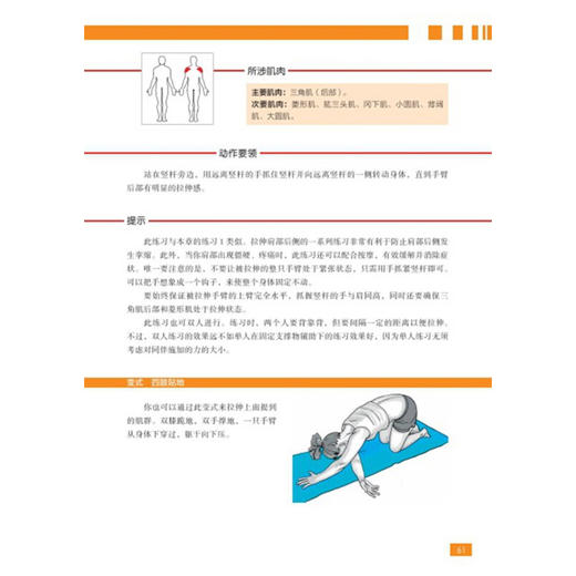 拉伸训练解剖全书 奥斯卡·莫兰 著  养生  保健 商品图3