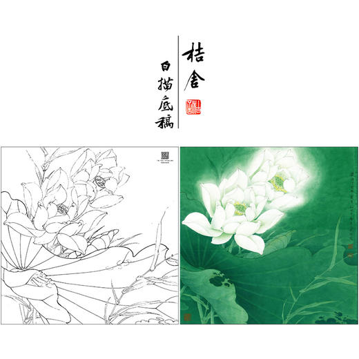 【大彩图】李晓明工笔画白描底稿斗方小品《圣洁之花》白荷临摹勾线花花鸟线稿K093 商品图0