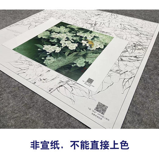 【大彩图】李晓明工笔画白描底稿《五月梨花赛春雪》梨花临摹勾线花鸟线稿K110 商品图2