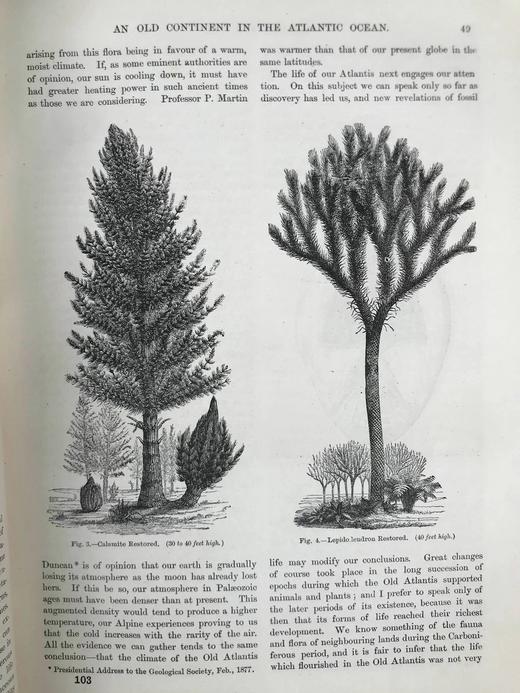 约19世纪后期 万物科学（卷3） 约百幅插图 漆布精装16开 商品图14