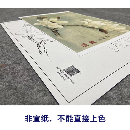 【大彩图】李晓明工笔画白描底稿小品《白玉兰》玉兰花临摹勾线花鸟线稿K101 商品图2