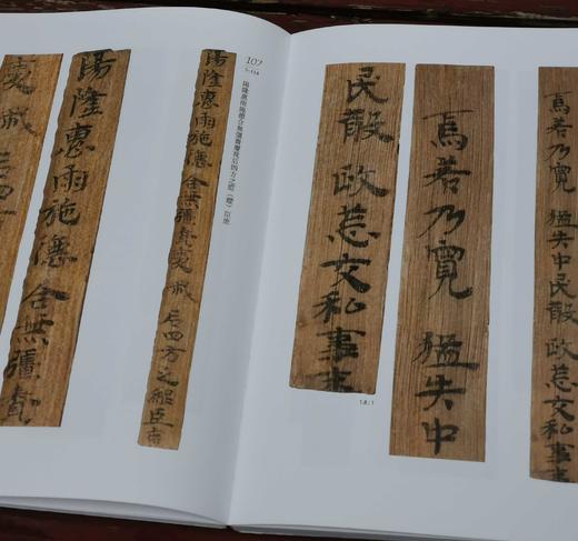 《郴州西晋简牍选粹》，16开，函套精装,铜版彩印，郴州市博物馆编，上海辞书出版社2022年12月出版，定价：480，售价：336。 商品图13