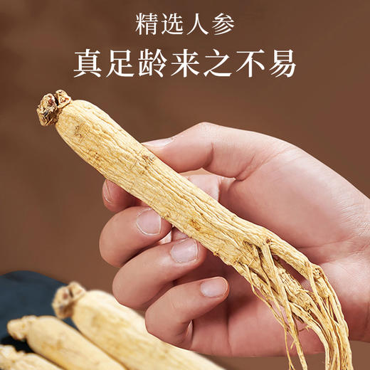 【正宗同仁堂品牌】北京同仁堂 整棵干制人参 多支100g 送礼盒 长白山选材 形态饱满 优选比例SY 商品图1