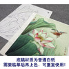 【大彩图】李晓明工笔画白描底稿《菡萏新花》荷花临摹勾线花鸟线稿K087 商品缩略图3
