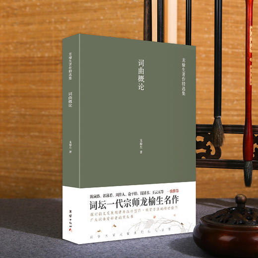 词曲概论 龙榆生著作精选集 商品图1