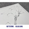 【大彩图】李晓明工笔画白描底稿小品《白玉兰》玉兰花临摹勾线花鸟线稿K101 商品缩略图4